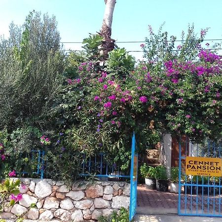 Cennet Pansiyon Hotel Kaleucagiz Bagian luar foto