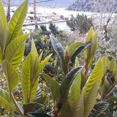 Cennet Pansiyon Hotel Kaleucagiz Bagian luar foto